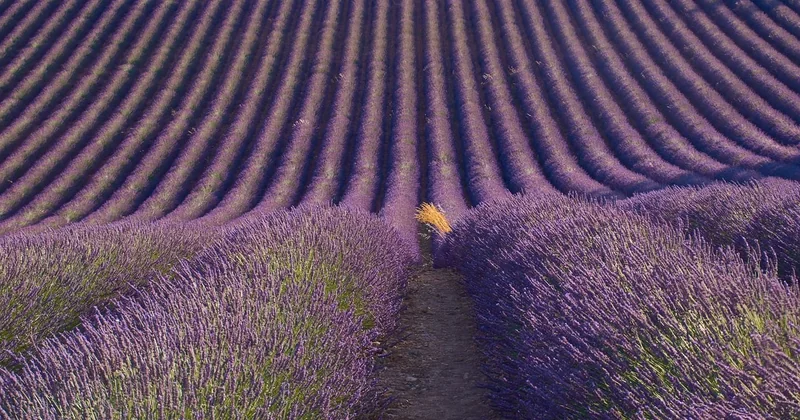 Où partir en amoureux en Provence sans tomber dans le piège de la carte postale